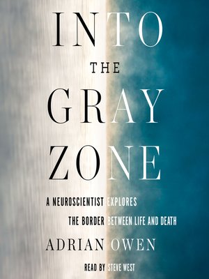 cover image of Into the Gray Zone